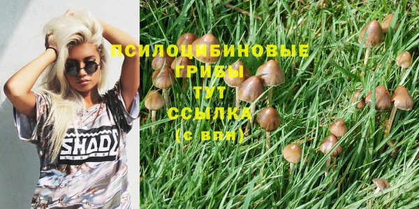 гидропоника Алексин