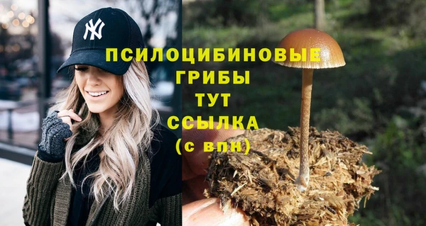 трава Алексеевка
