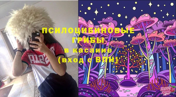 каннабис Гатчина